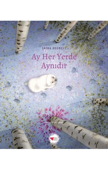 Ay Her Yerde Aynıdır