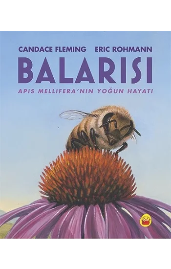 Balarısı