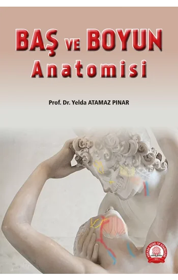 Baş ve Boyun Anatomisi
