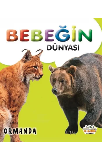 Bebeğin Dünyası - Ormanda (Sıvama Cilt)