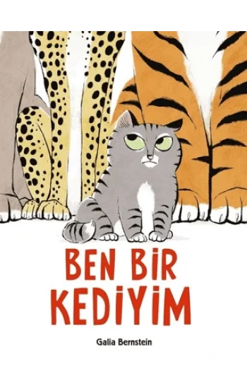 Ben Bir Kediyim