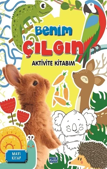 Benim Çılgın Aktivite Kitabım - Mavi Kitap