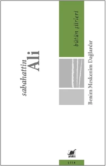 Benim Meskenim Dağlardır - Bütün Şiirleri