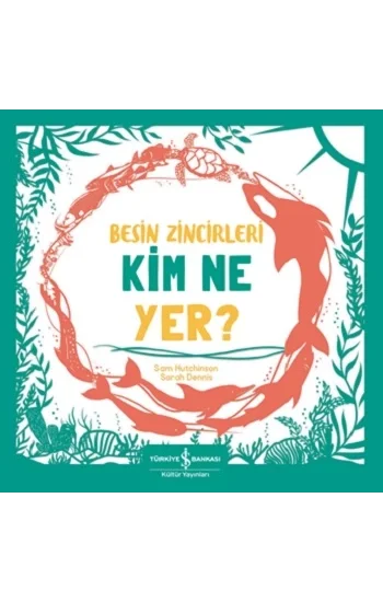 Besin Zincirleri Kim Ne Yer?