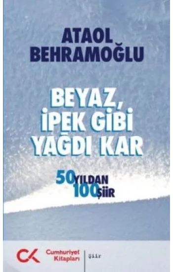 Beyaz İpek Gibi Yağdı Kar