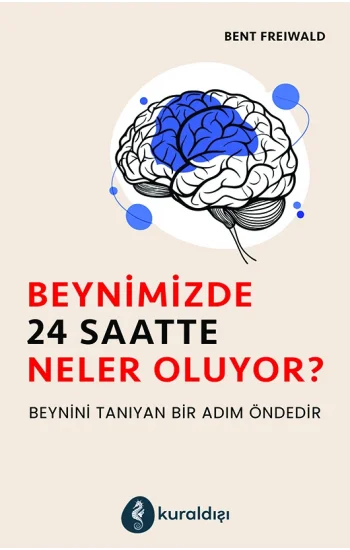 Beynimizde 24 Saatte Neler Oluyor?