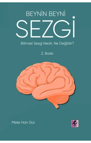 Beynin Beyni Sezgi
