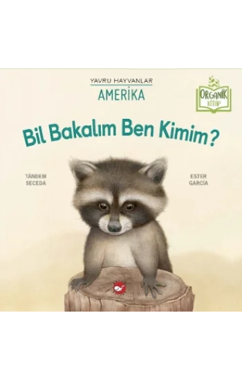 Bil Bakalım Ben Kimim?  Amerika