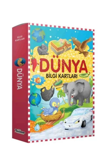 Bilgi Kartları - Dünya