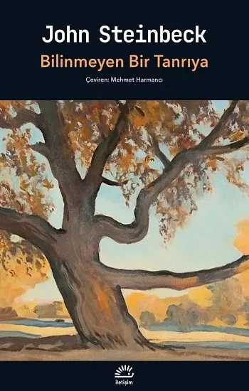 Bilinmeyen Bir Tanrıya