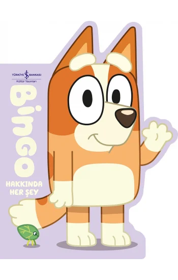 Bingo Hakkında Her Şey - Ciltli