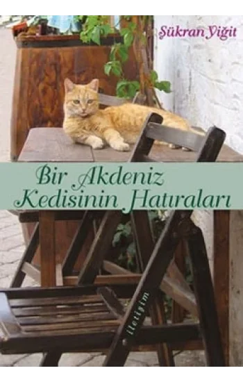 Bir Akdeniz Kedisinin Hatıraları