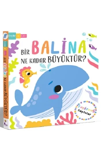 Bir Balina Ne Kadar Büyüktür? – Kaydır + Keşfet (Ciltli)
