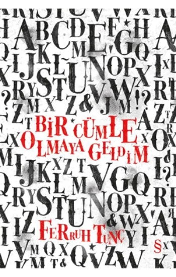 Bir Cümle Olmaya Geldim