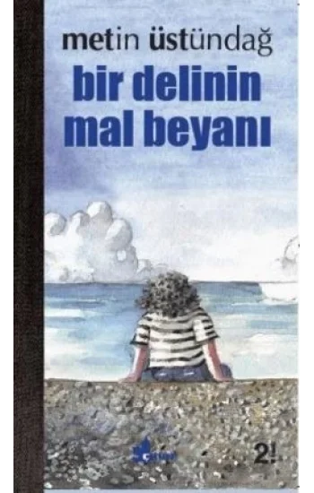 Bir Delinin Mal Beyanı