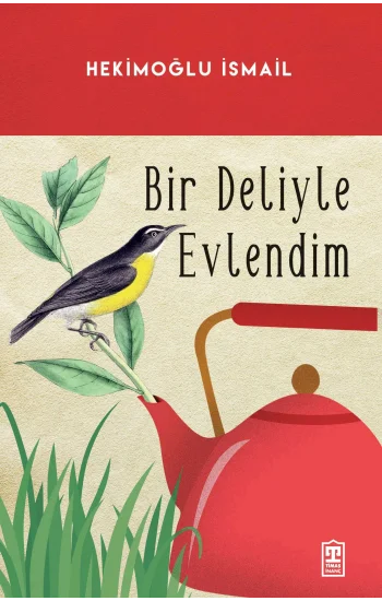 Bir Deliyle Evlendim