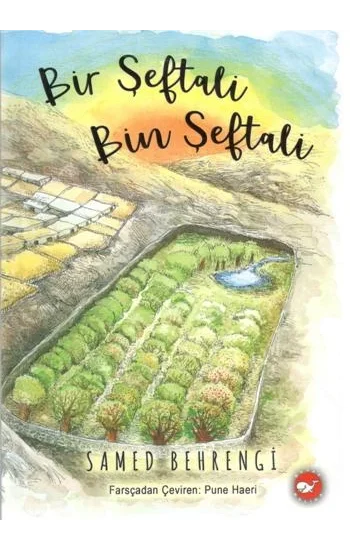 Bir Şeftali Bin Şeftali