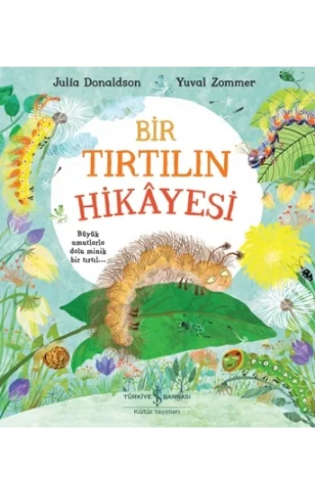 Bir Tırtılın Hikayesi
