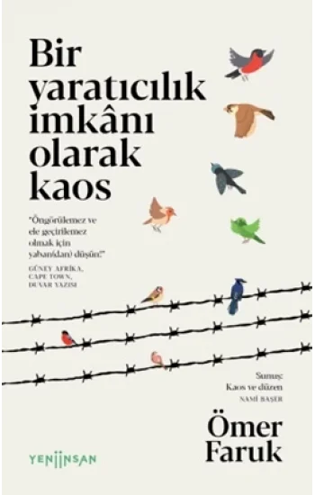 Bir Yaratıcılık İmkânı Olarak Kaos