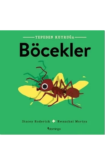 Böcekler- Tepeden Kuyruğa