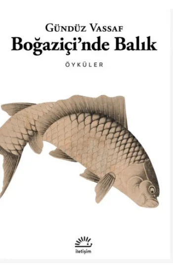 Boğaziçinde Balık