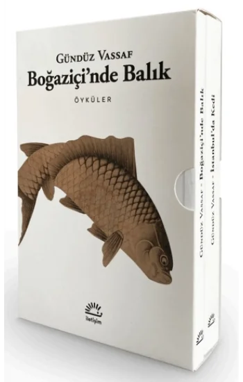Boğaziçinde Balık - İstanbulda Kedi (2 Kitap Kutulu Set)