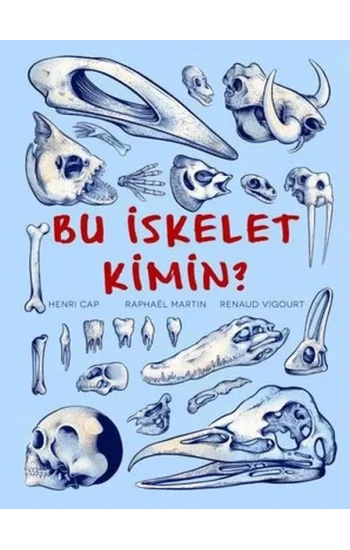 Bu İskelet Kimin?