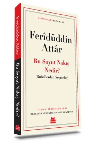 Bu Soyut Nakış Nedir ?