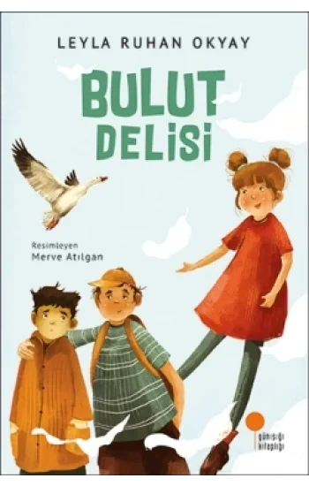 Bulut Delisi