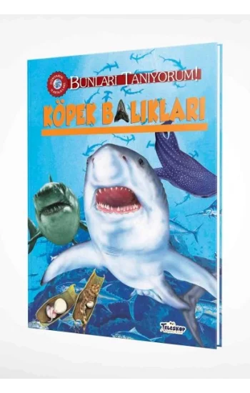 Bunları Tanıyorum! - Köpek Balıkları (Ciltli)