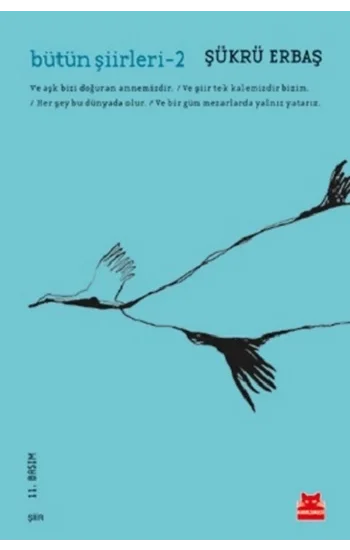 Bütün Şiirleri 2