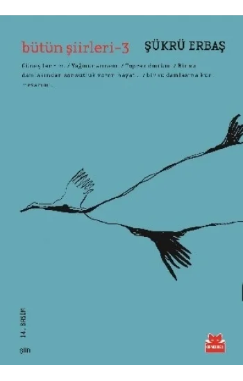 Bütün Şiirleri - 3