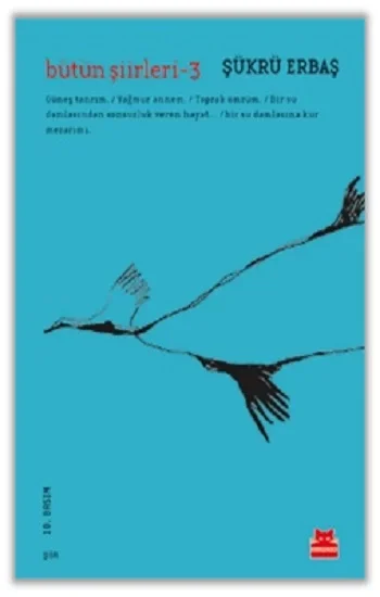 Bütün Şiirleri - 3