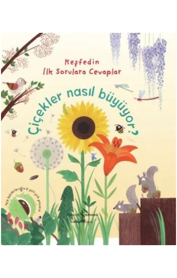 Çiçekler Nasıl Büyüyor ? Keşfedin İlk Sorulara Cevaplar