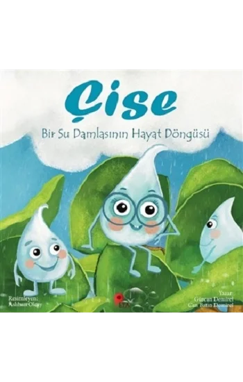 Çise: Bir Su Damlasının Hayat Döngüsü