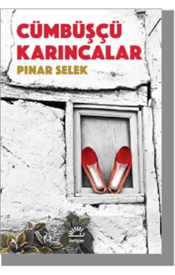 Cümbüşçü Karıncalar