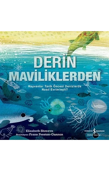 Derin Maviliklerden