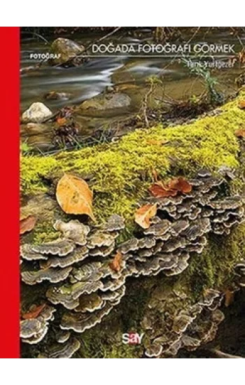 Doğada Fotoğrafı Görmek