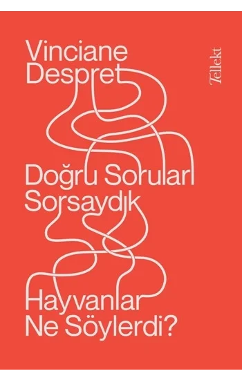 Doğru Soruları Sorsaydık  Hayvanlar Neler Söylerdi?