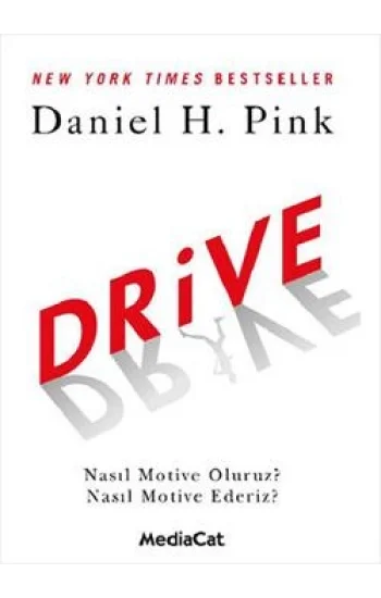 Drive (Nasıl Motive Oluruz? Nasıl Motive Ederiz?)