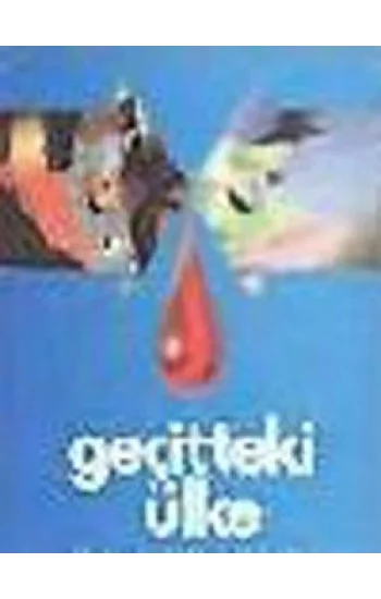 Dünki Türkiye 8. Kitap: Geçitteki Ülke