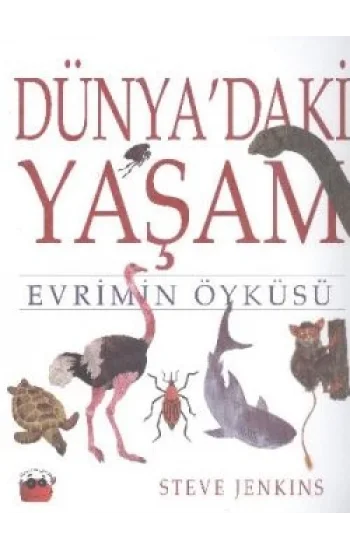 Dünyadaki Yaşam