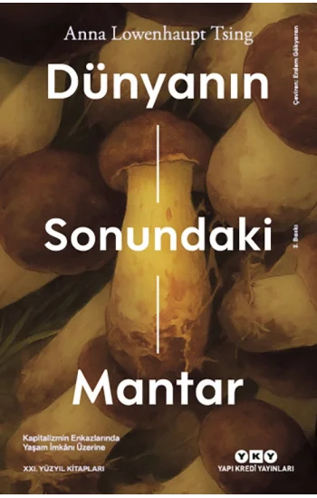 Dünyanın Sonundaki Mantar – Kapitalizmin Enkazlarında Yaşam İmkanı Üzerine