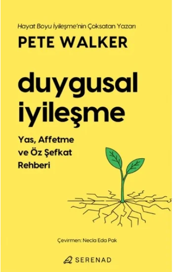Duygusal İyileşme