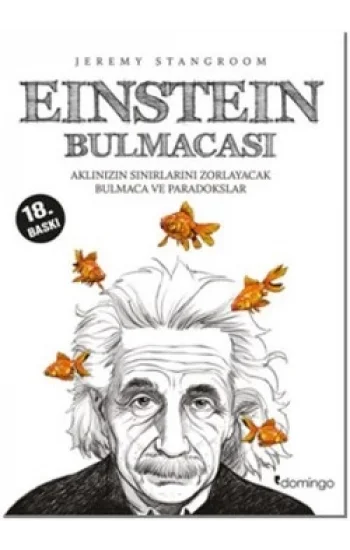 Einstein Bulmacası 1