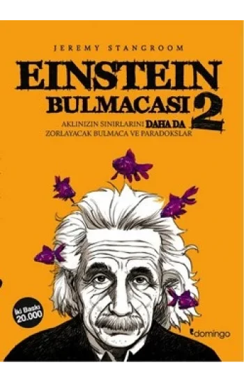Einstein Bulmacası 2