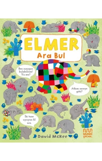 Elmer Ara Bul (Ciltli)