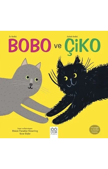 Ev Kedisi Bobo ve Sokak Kedisi Çiko