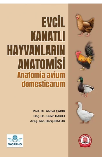 Evcil Kanatlı Hayvanların Anatomisi