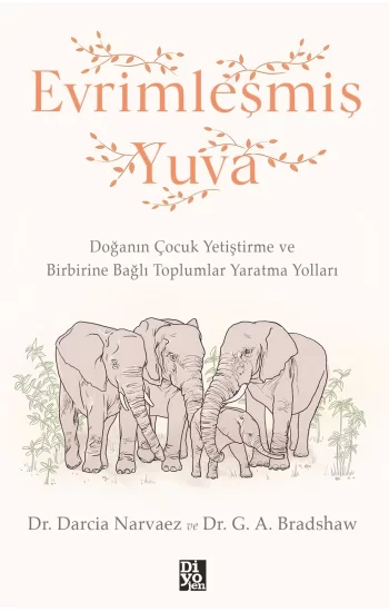 Evrimleşmiş Yuva